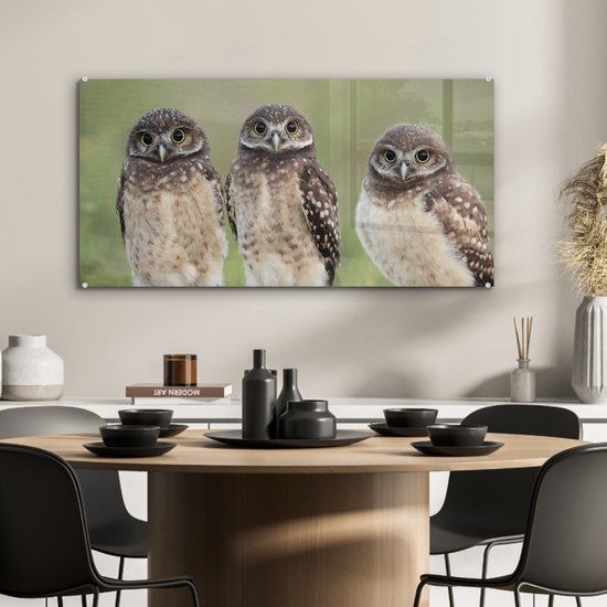 MuchoWow® Peinture sur verre 80x40 cm - Peinture sur verre acrylique - Trois chouettes des cavernes - Photo sur verre - Peintures