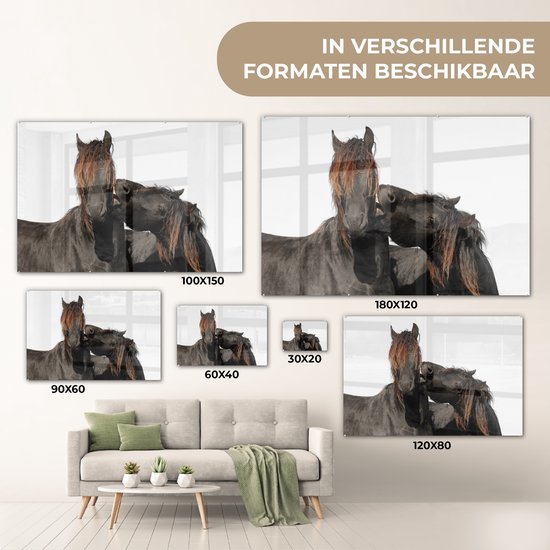 MuchoWow® Peinture sur Verre - Paarden - Fourrure - Wit - 120x80 cm - Peintures sur Verre Acrylique - Photo sur Glas