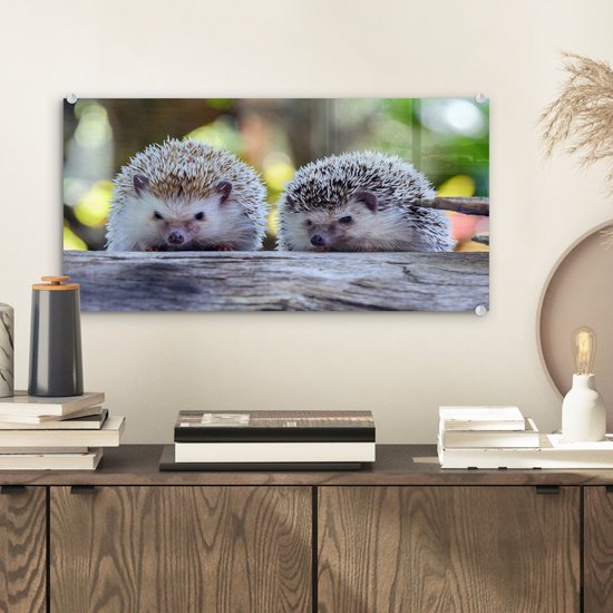 Peinture sur verre - Deux hérissons assis sur une branche - 40x20 cm - Peintures Plexiglas