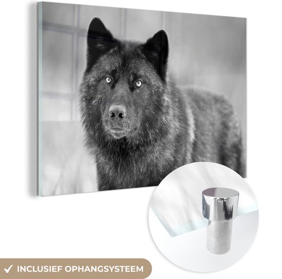 MuchoWow® Glasschilderij 90x60 cm - Schilderij acrylglas - Zwarte wolf in zwart-wit - Foto op glas - Schilderijen