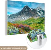 MuchoWow® Glasschilderij 60x40 cm - Schilderij acrylglas - Bloemen - Berg - Sneeuw - Landschap - Foto op glas - Schilderijen