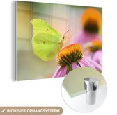 MuchoWow® Glasschilderij 90x60 cm - Schilderij acrylglas - Vlinder - Insecten - Kleuren - Foto op glas - Schilderijen