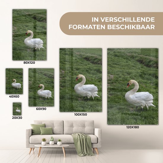 ® Glasschilderij 120x180 cm - Schilderij acrylglas - Zwaan - Gras - Natuur - Foto op glas - Muurdecoratie woonkamer - Wanddecoratie slaapkamer - Schilderijen