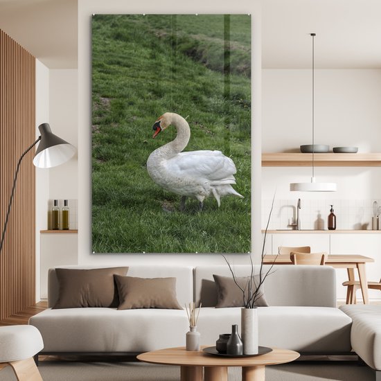 ® Glasschilderij 120x180 cm - Schilderij acrylglas - Zwaan - Gras - Natuur - Foto op glas - Muurdecoratie woonkamer - Wanddecoratie slaapkamer - Schilderijen