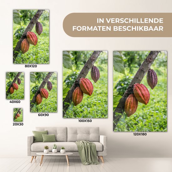 La jungle avec la fève de cacao dans les cabosses Plexiglas 60x90 cm - Tirage photo sur Glas (décoration murale plexiglas)