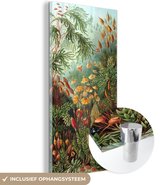 MuchoWow® Glasschilderij 60x120 cm - Schilderij acrylglas - Muscinae - Kunst - Oude meesters - Foto op glas - Schilderijen