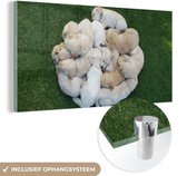 MuchoWow® Glasschilderij 40x20 cm - Schilderij acrylglas - Honden - Puppy - Gras - Foto op glas - Schilderijen