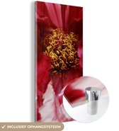 MuchoWow® Glasschilderij 40x80 cm - Schilderij acrylglas - Een uitgebloeide rode pioenroos - Foto op glas - Schilderijen