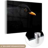 MuchoWow® Glasschilderij 60x40 cm - Schilderij acrylglas - Zwarte merel op een donkere achtergrond - Foto op glas - Schilderijen