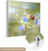 MuchoWow® Glasschilderij 20x20 cm - Schilderij acrylglas - Lieveheersbeestje - Bloem - Lente - Foto op glas - Schilderijen