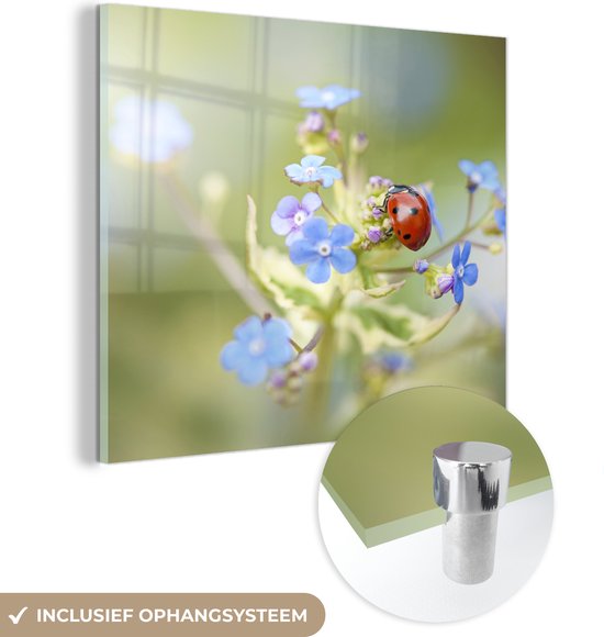 Glasschilderij - Lieveheersbeestje - Bloem - Lente - Acrylglas Schilderijen - Foto op Glas
