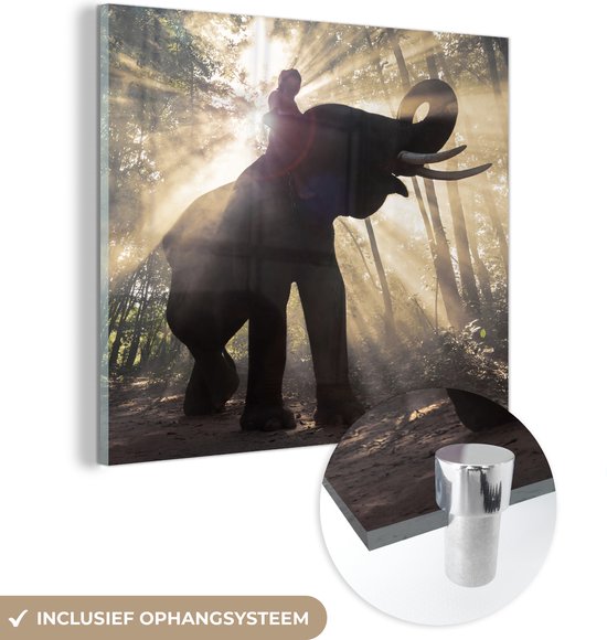 Peinture sur Verre - Éléphant avec Personne en Plein Soleil - 50x50 cm - Peintures sur Verre Peintures - Photo sur Glas