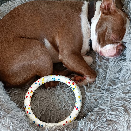 RUFF - Jouet pour chien indestructible - Anneau à mâcher Chiens - speelgoed chien - Wit - ⌀ 18cm - Convient aux petits chiens et aux chiens de taille moyenne