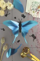 Assembli Swordtail butterfly 3D insect-glossy azure blue
