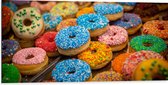 Dibond - Rij Verse Donuts met Verschillende Kleuren Sprinkles - 100x50 cm Foto op Aluminium (Wanddecoratie van metaal)