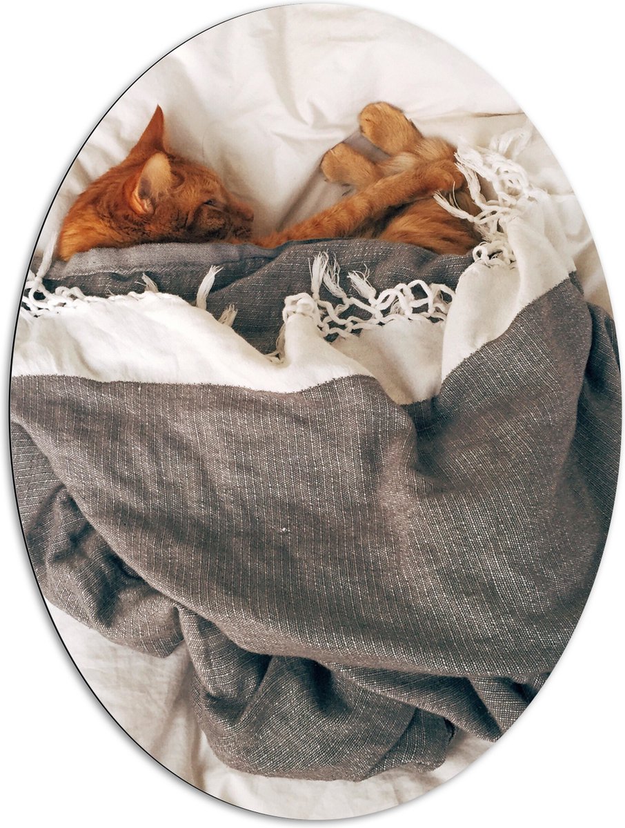 Dibond Ovaal - Rode Kat onder Deken op Bed - 81x108 cm Foto op Ovaal (Met Ophangsysteem)