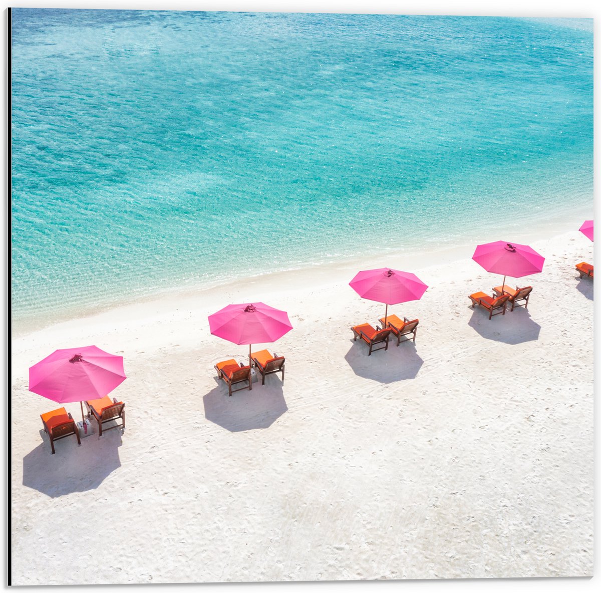 Dibond - Ligbedden onder Roze Parasols op het Witte Strand bij Blauwe Oceaan - 50x50 cm Fo