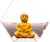 PVC Schuimplaat Hexagon - Gouden en Zilveren Miniatuur Buddha_s op Asfalt weg - 30x26.1 cm Foto op Hexagon (Met Ophangsysteem)