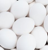 PerfectTok® Nep eieren - Broedeieren - Nep ei - Kalkeieren - Kalk ei - 4 Stuks - Wit