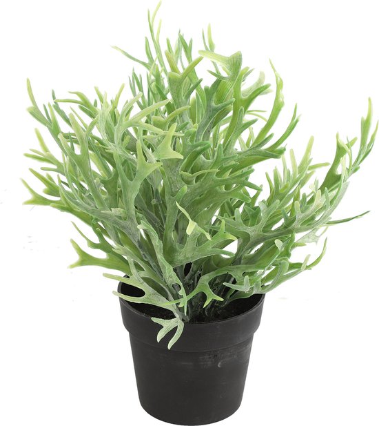 Countryfield Kunstplant Platycerium plant in bloempot - Groen - 20 x 24 cm