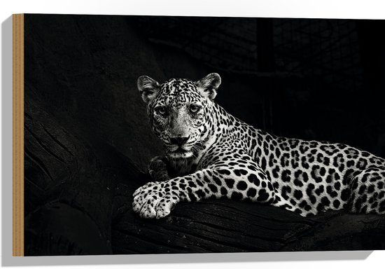 Hout - Panter met Grote Klauwen Liggend op Boomstam (Zwart- wit) - 60x40 cm - 9 mm dik - Foto op Hout (Met Ophangsysteem)