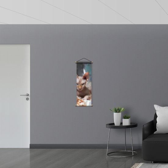 Textielposter - Liggende Booskijkende Naakt Kat - 30x90 cm Foto op Textiel