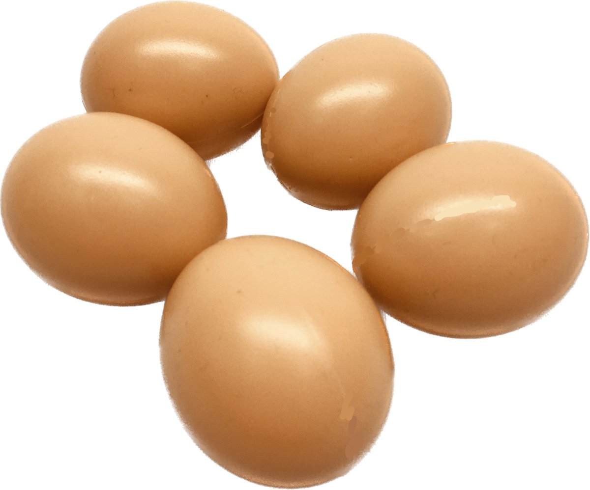 Kunst broedeieren - kunst ei - kunststof eieren 5 stuks - Natuurlijker leven®