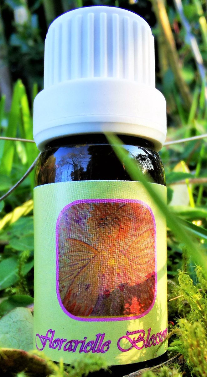 Goedkoopste Florarielle Blossom Oil - Energetische Aromatherapie - Chakra Olie - In the Light of the Goddess by Lieve Volcke - 10 ml