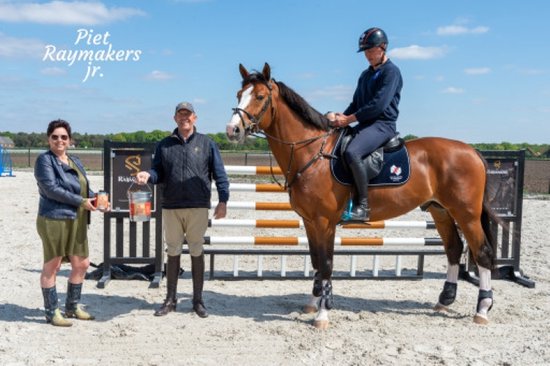 Een ruiter met helm op een bruine paard, bij een hindernis. "Piet Raymarkers Jr."
