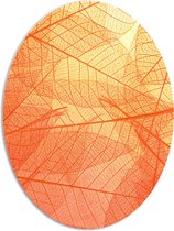 PVC Schuimplaat Ovaal - Oranje Doorschijnende Blaadjes - 72x96 cm Foto op Ovaal (Met Ophangsysteem)