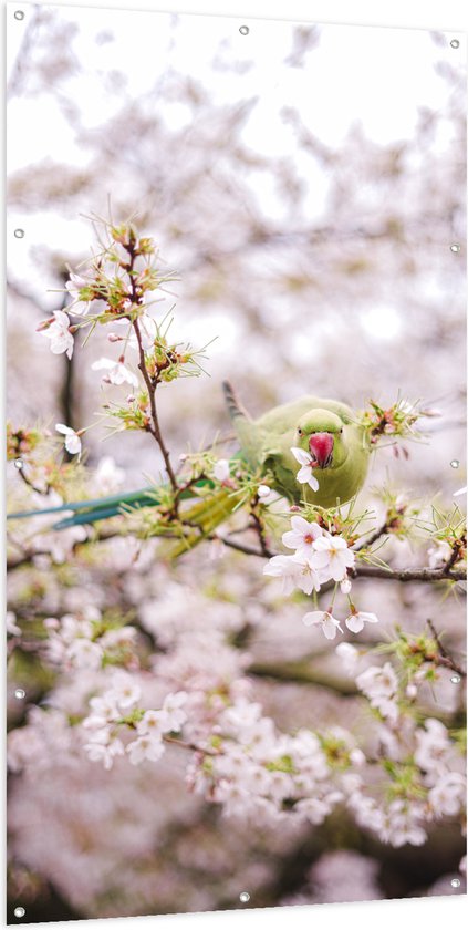 Tuinposter – Groene Vogel tussen de Roze Bloesem - 100x200 cm Foto op Tuinposter (wanddecoratie voor buiten en binnen)