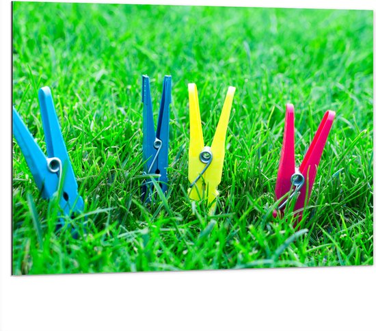 Dibond - Gekleurde Wasknijpers in het Gras - 100x75 cm Foto op Aluminium (Wanddecoratie van metaal)