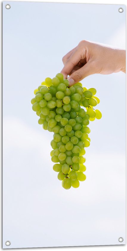 Tuinposter – Tros Verse Groene Druiven in Mensenhand - 50x100 cm Foto op Tuinposter (wanddecoratie voor buiten en binnen)