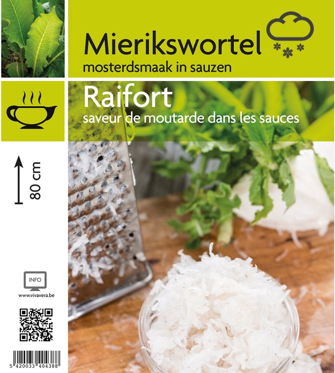 6x Raifort - Armoracia rusticana - Pot 9x9cm