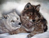 Denza - Diamond painting wolven wolf uniek 40 x 50 cm volledige bedrukking ronde steentjes direct leverbaar - 2 x wolven - wolf -