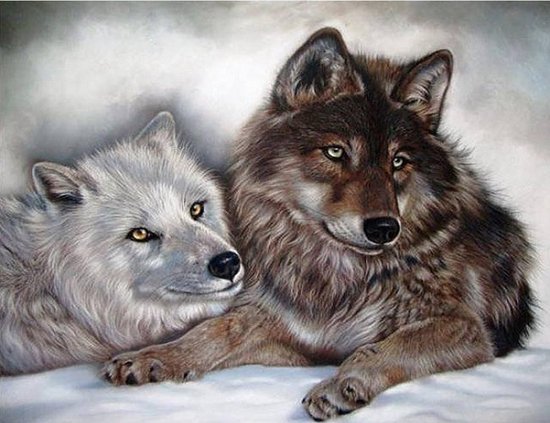 Wolf diamond sale painting