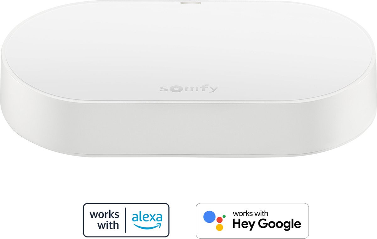 Somfy 1870755 - Ensemble de connectivité | Pour contrôler les moteurs et  l'éclairage... | bol.com