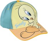 Child Cap Looney Tunes Turquoise (53 cm)