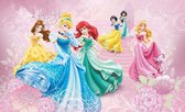 Fantastisch Disney fotobehang met prinsessen, super voor kinderkamer H. 2,15m B. 3,15m