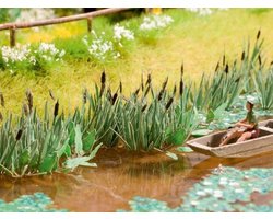 Riet