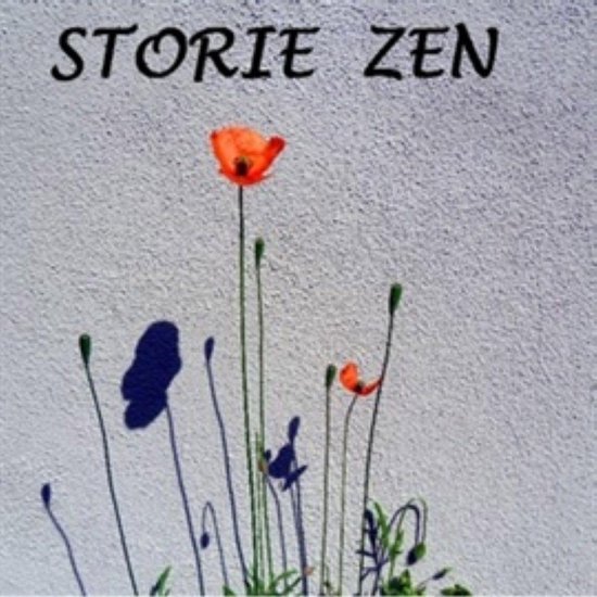 Storie zen - cover