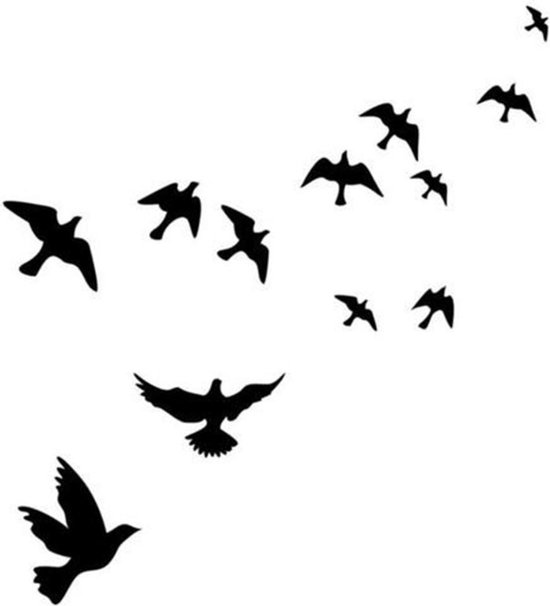 4 set Vogelstickers - Vogel raamstickers Anti-inslag vogels Afmeting L 101... | bol.com