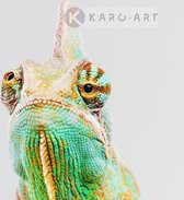 Schilderij - Kameleon  ,Groen geel , 3 maten , Premium print