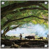 Tuinposter –Aziatische Boer onder een Boom– 50x50cmFoto op Tuinposter (Wanddecoratie voor buiten en binnen)