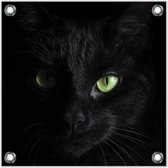 Tuinposter –Zwarte Kat– 50x50cmFoto op Tuinposter (Wanddecoratie voor buiten en binnen)