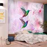 Fotobehang - Kleurrijke Kolibries op Lila achtergrond, premium print vliesbehang