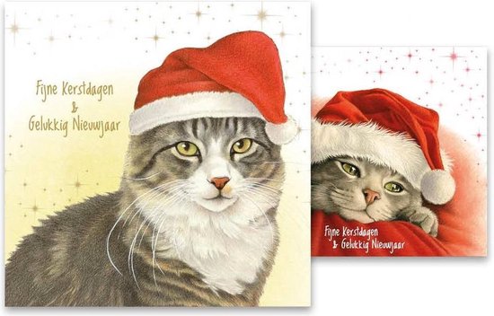 Kaarten - Kerst - Franciens katten - Kat met muts / kitten op deken - 2  motieven - 10st. | bol.com