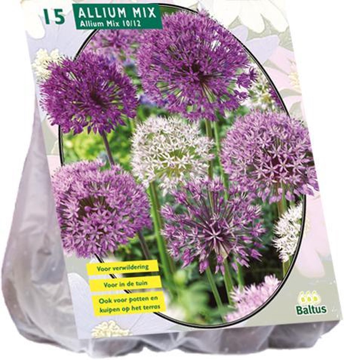 Allium (Sierui) bloembollen - mix Paars-Wit - 1 x 15 stuks