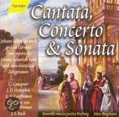 Cantata Concerto & Sonata