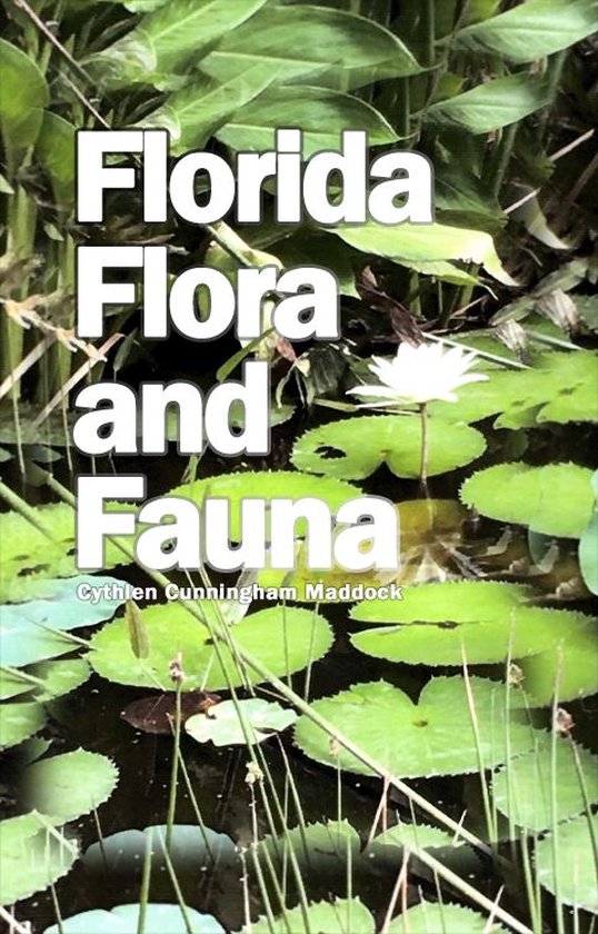 Florida Flora and Fauna - cover